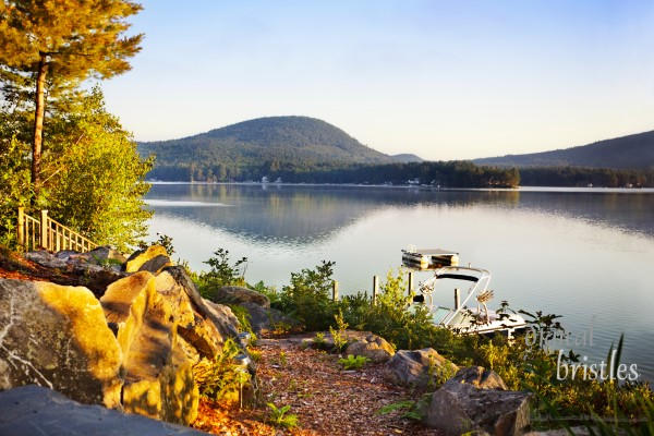 Path down to a lake in the early morning calm