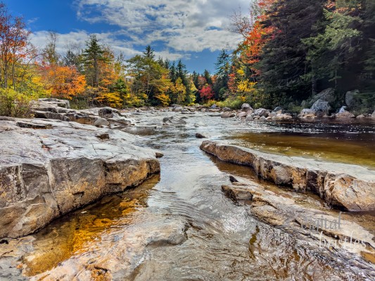 New Hampshire New Hampshire