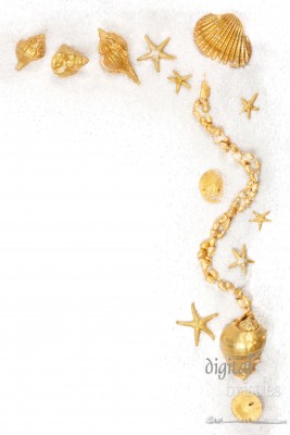 Shells painted gold on white sand