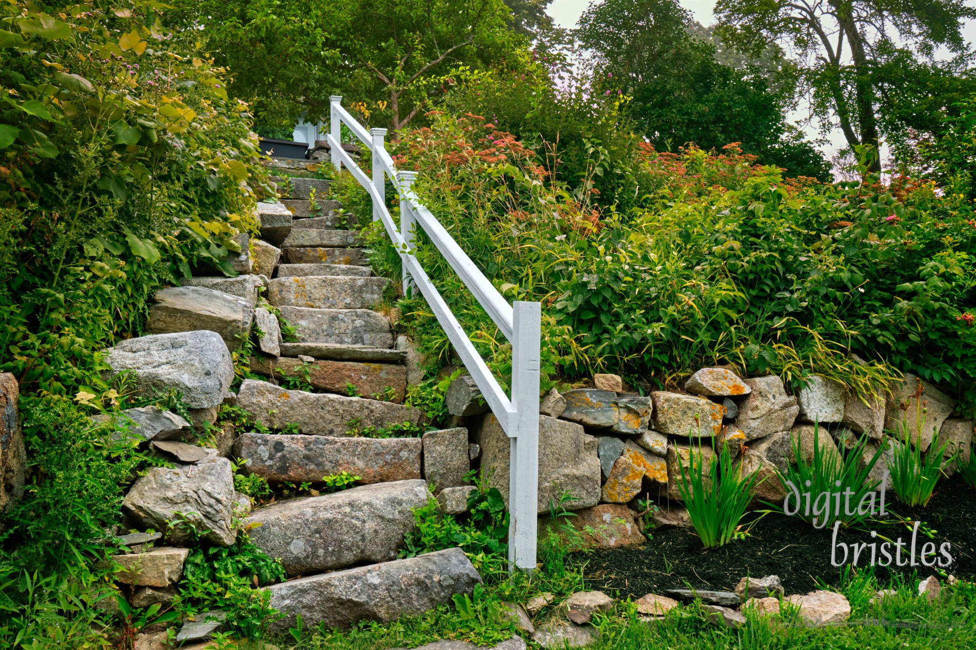 Uneven stone staircase with lichen and creepers encroaching