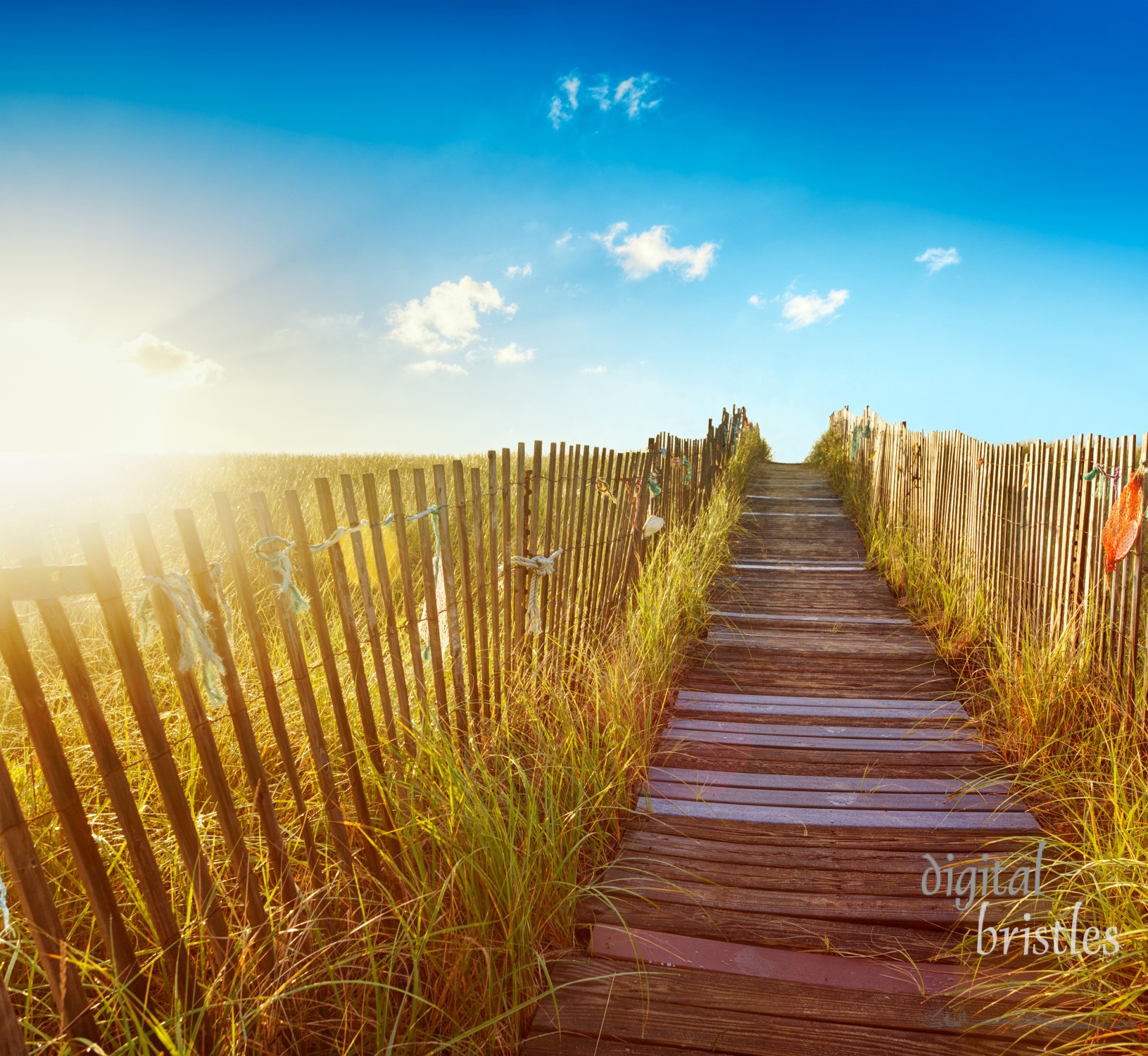 Wooden boardwalk through the dunes to a Maine beach at sunrise