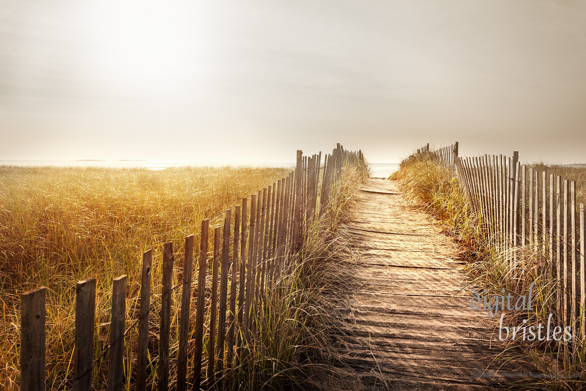 Path through the dunes to a Maine beach