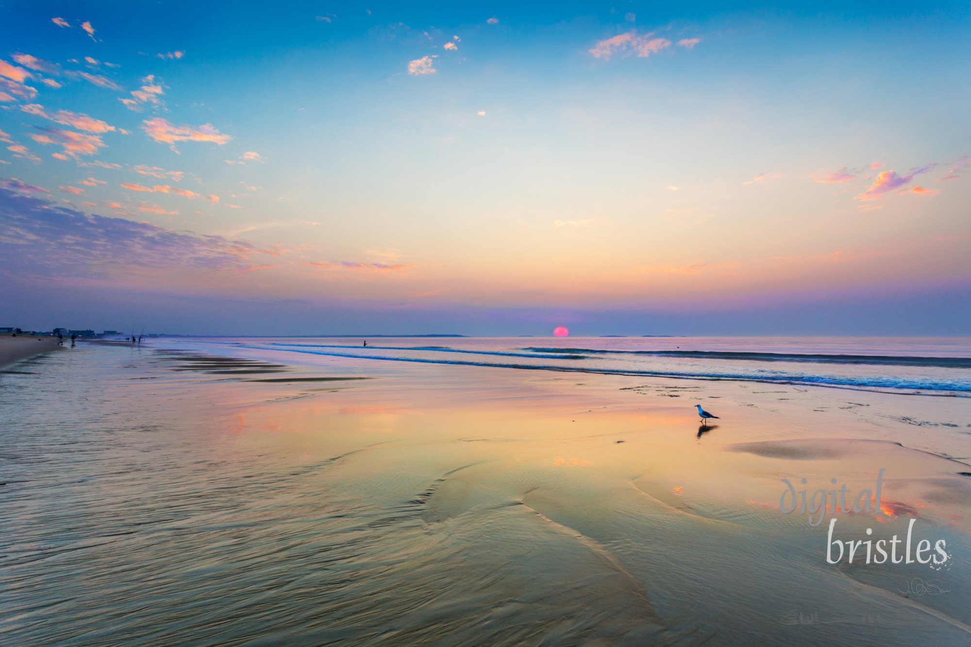 Sunrise reflections on wet sand, Ocean Park, Maine