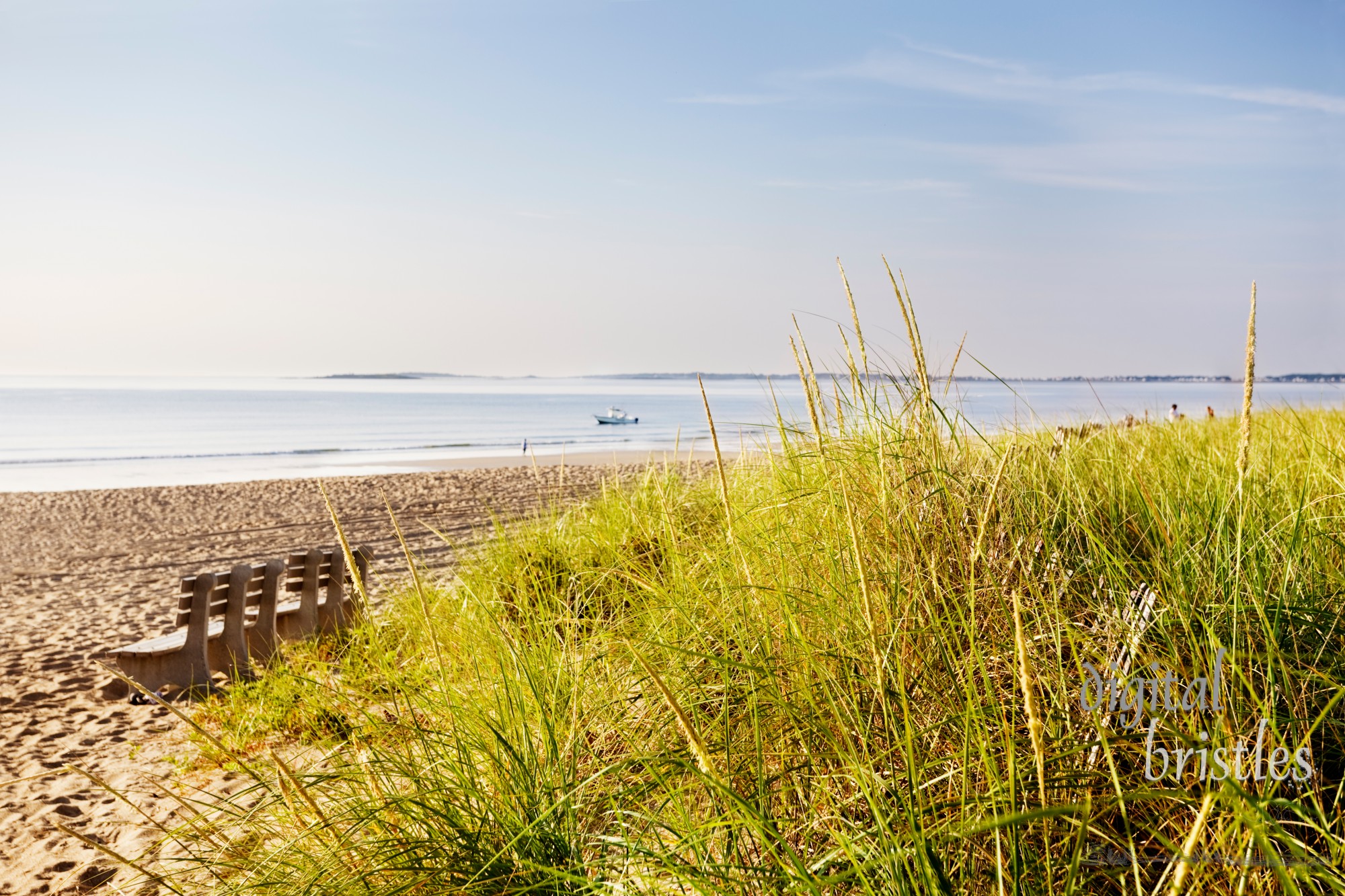 Sand dunes don't stay within the fence - early Summer morning at a Maine beach