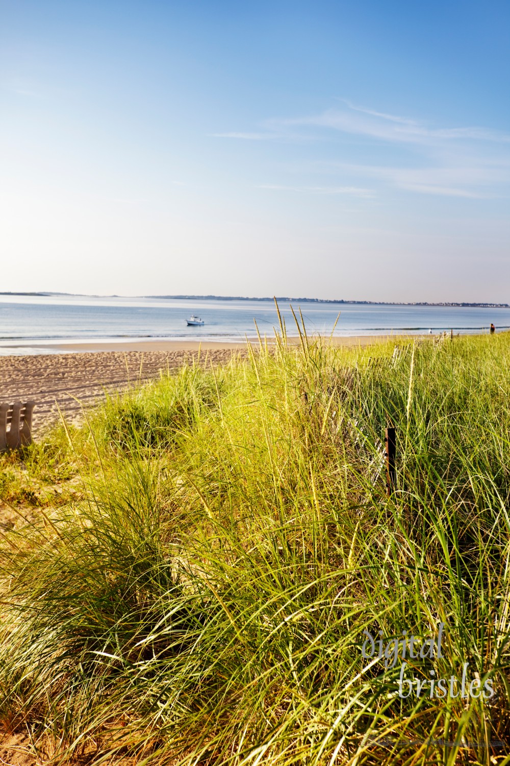 Sand dunes don't stay within the fence - early Summer morning at a Maine beach