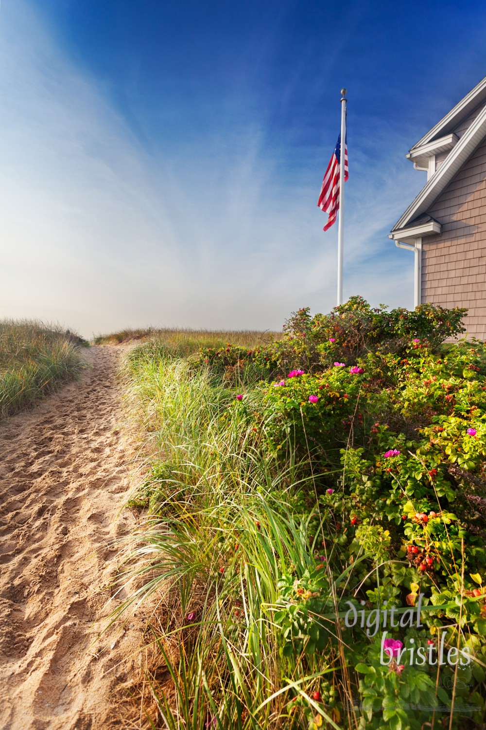 Well trodden path through sand dunes to a Maine beach in early morning summer sunshine