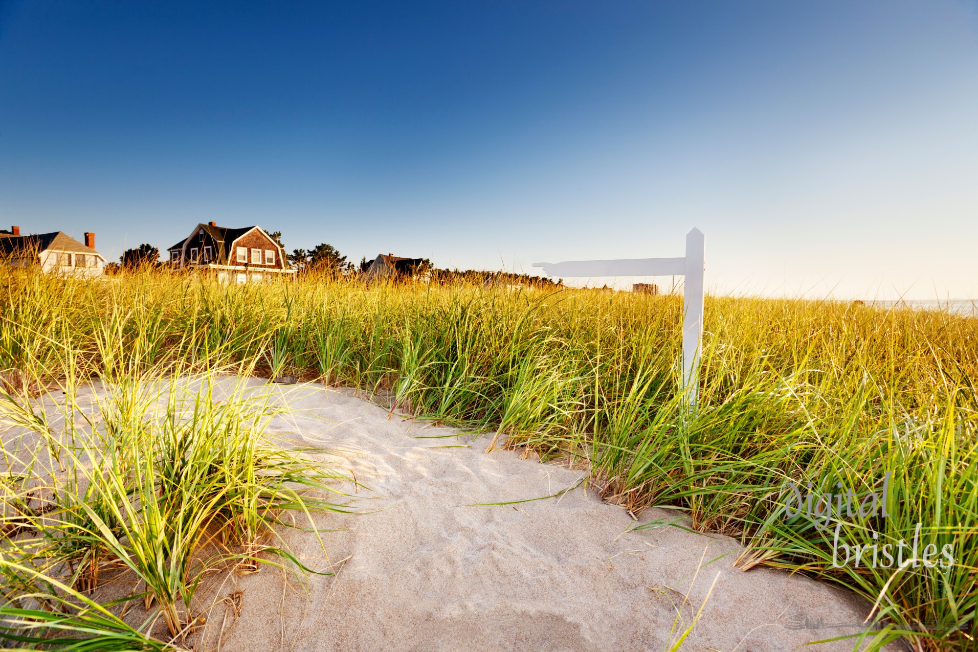 Path through dunes with signpost