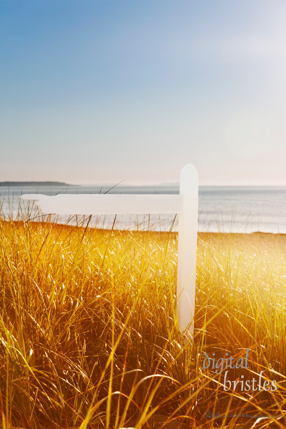 Signpost through the dunes in early morning light