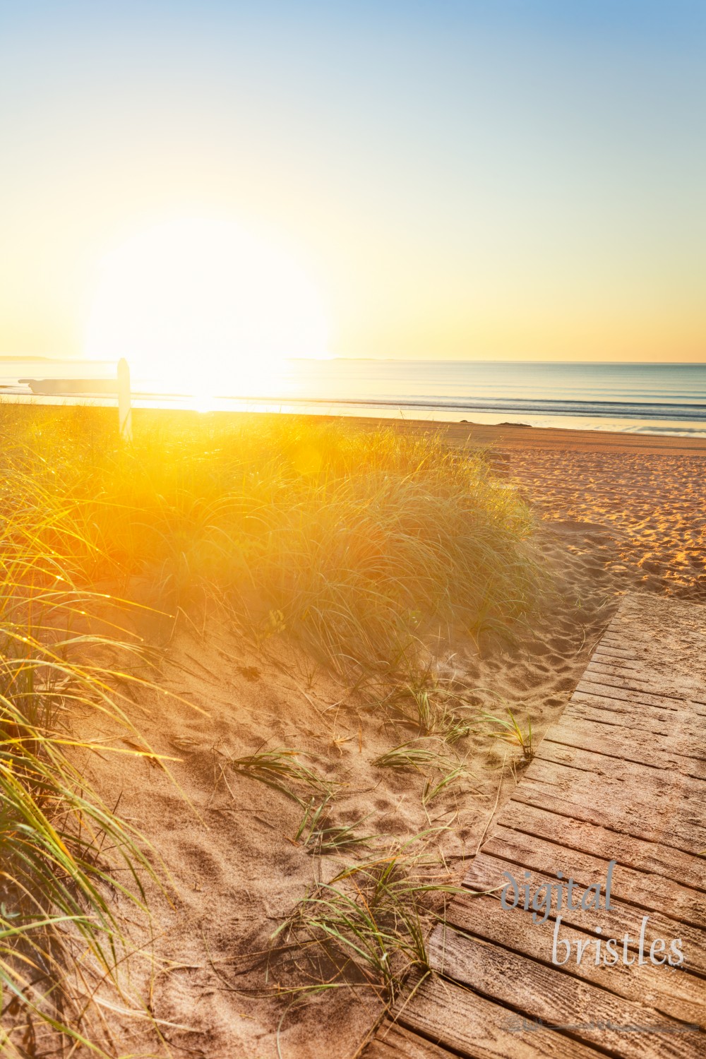 Early morning sun floods the sand dunes and sign on a Manie beach