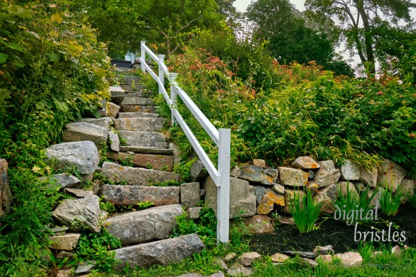 Uneven stone staircase with lichen and creepers encroaching