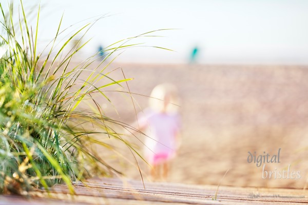 End of the boardwalk in the early  morning summer sunshine