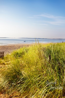 Sand dunes don't stay within the fence - early Summer morning at a Maine beach