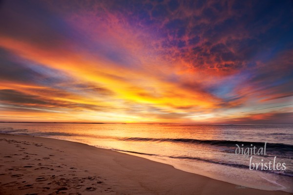 Maine beach in vivid colors of pre-dawn light