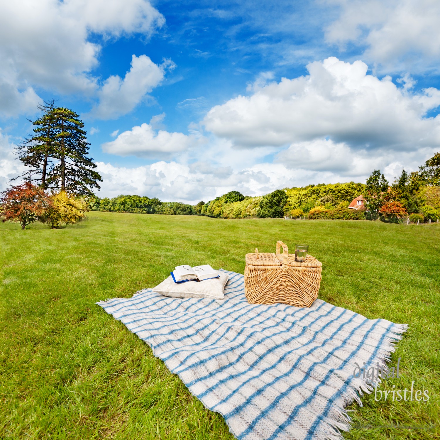 Picnic blanket, cushion, basket & pillow in a rolling field