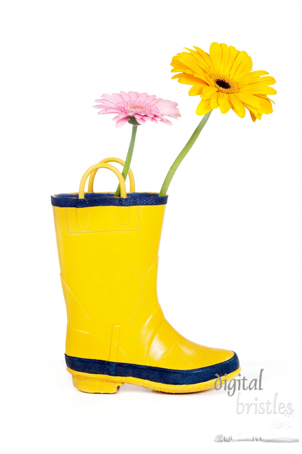 Yellow wellington boot with yellow and pink Gerbera Daisies