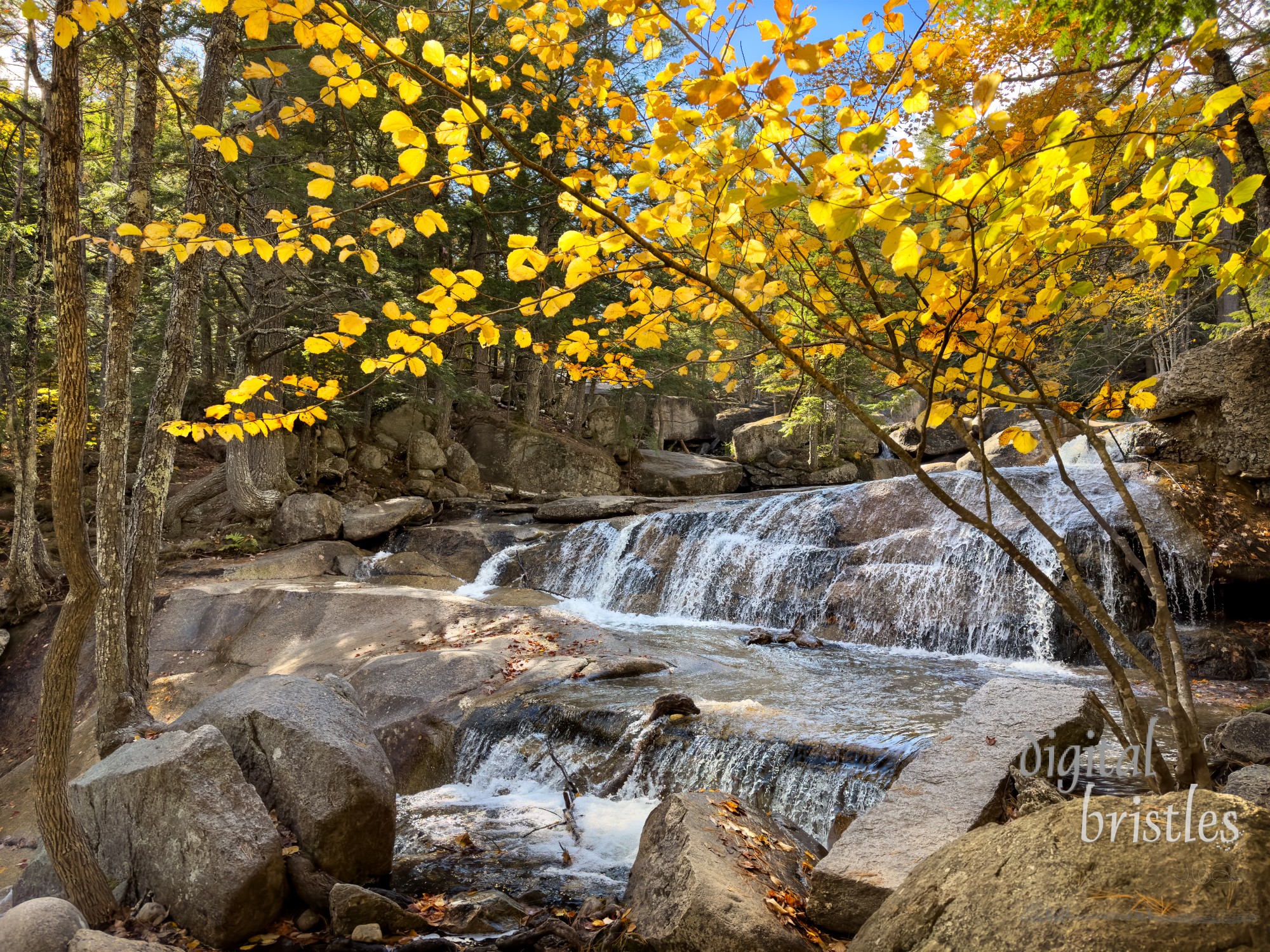 Popular trail by falls along Lucy Brook in Bartlett, New Hamphire showing sunny autumn colors