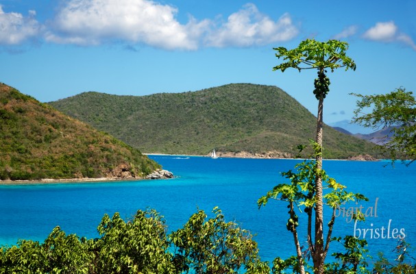 Water's edge, Leinster Bay, St John