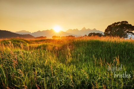 Sun sets and lights the long grasses in overgrown fields at Antelope Flats, Grand Teton National Park, Wyoming