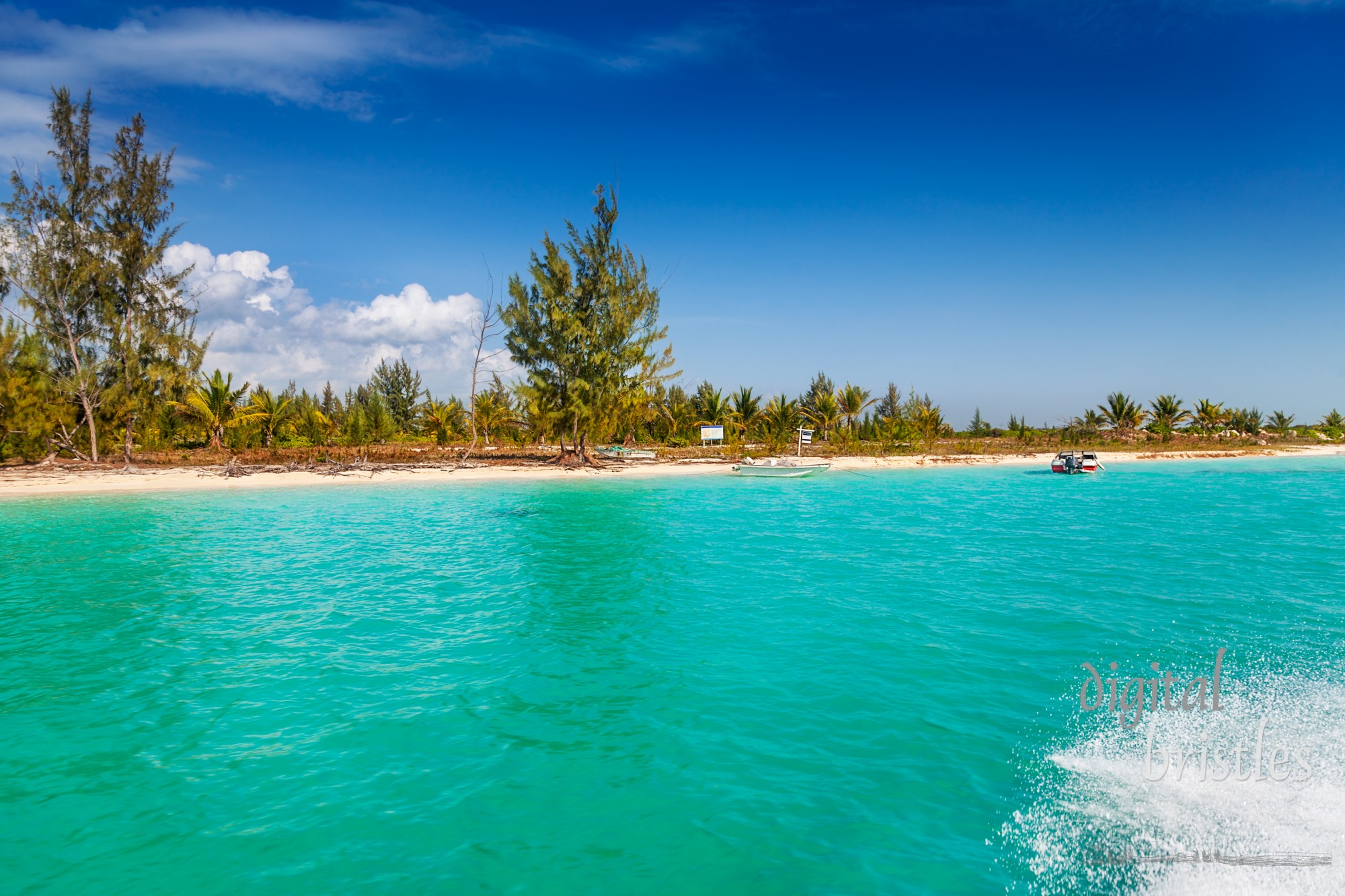 For sale sign on a remote undeveloped beach on North Caicos, Turks and Caicos Islands
