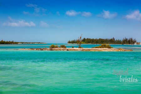 Traveling from Providenciales to North Caicos passes by many small islands in the shallow waters around Water Cay, Ft. George Cay and Pine Cay 
